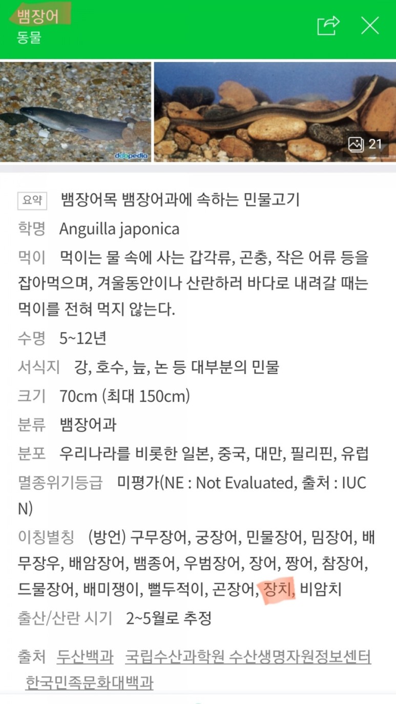 게무침 [속초] 속초가면 꼭 들리는 곳!! 나의 17