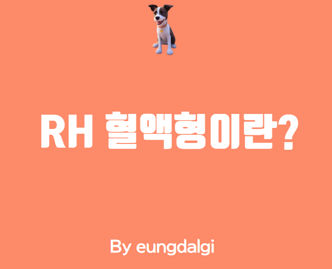  RH 혈액형이란?