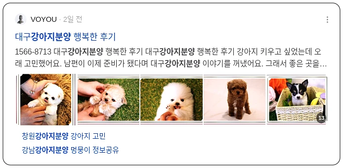 강아지 분양_3_subsection