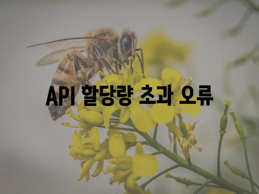 API 할당량 초과 오류 2