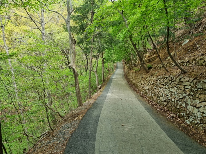 전망대-가는-길