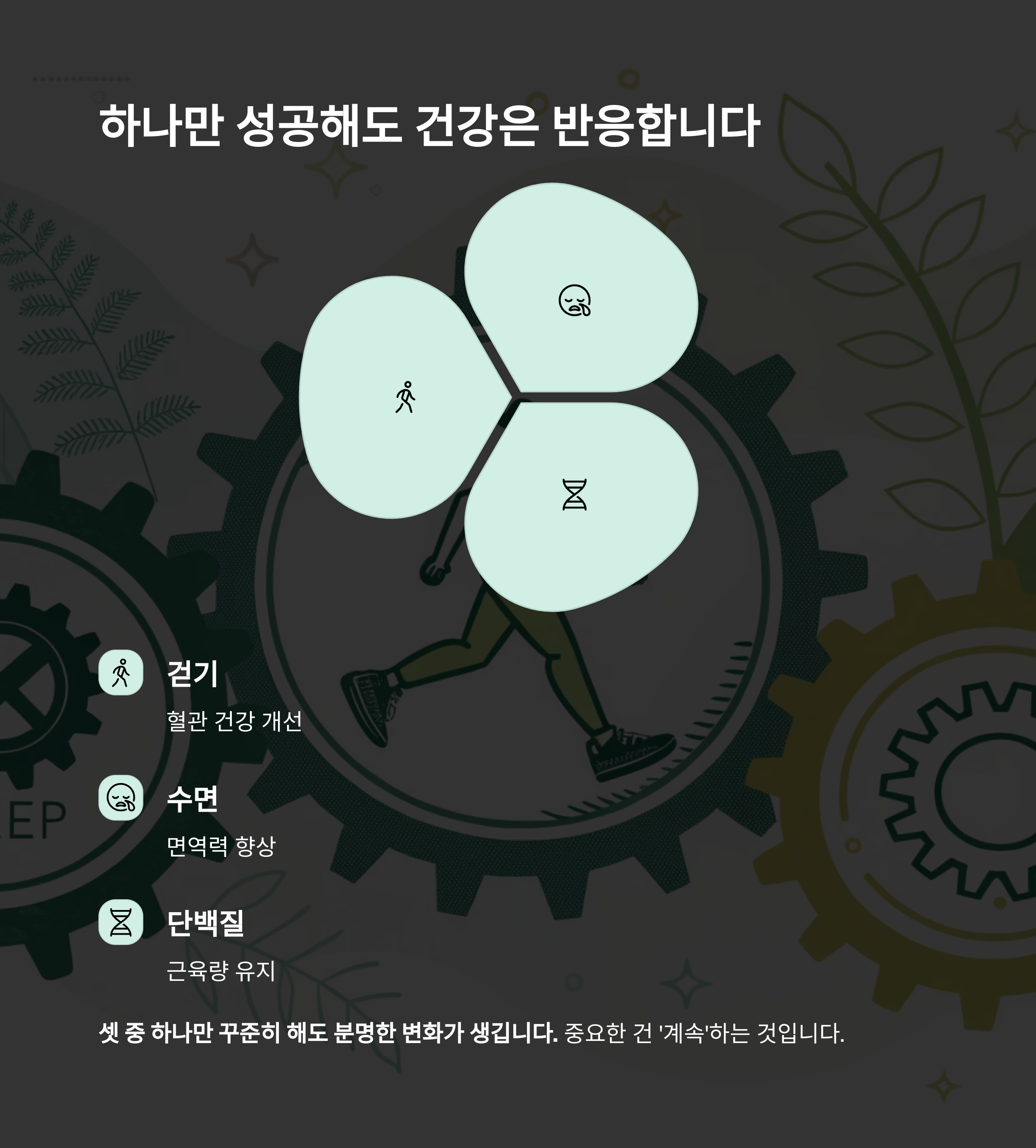 50대 이후 건강, 단 3가지 습관으로 완전히 바뀐다 - 중년 이후 건강 관리는 어떻게 달라져야 할까? - 3가지 습관, 하나만 성공해도 건강은 반응한다 50대 이후 건강, 단 3가지 습관으로 완전히 바뀐다 - 중년 이후 건강 관리는 어떻게 달라져야 할까? - 3가지 습관, 하나만 성공해도 건강은 반응한다
