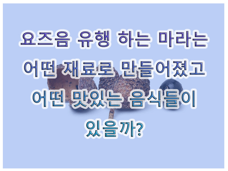  대세 마라 열풍, 마라의 맛과 재료와 뜻 그리고 맛있는 마라 음식 알아보기