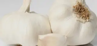 프리바이오틱스가 많이 함유된 음식 4가지 효능