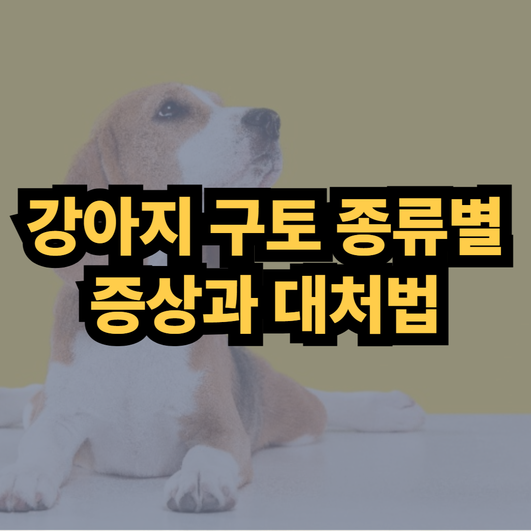 반려견 구토 증상 총정리: 구토 종류로 알아보는 원인과 응급 대처법