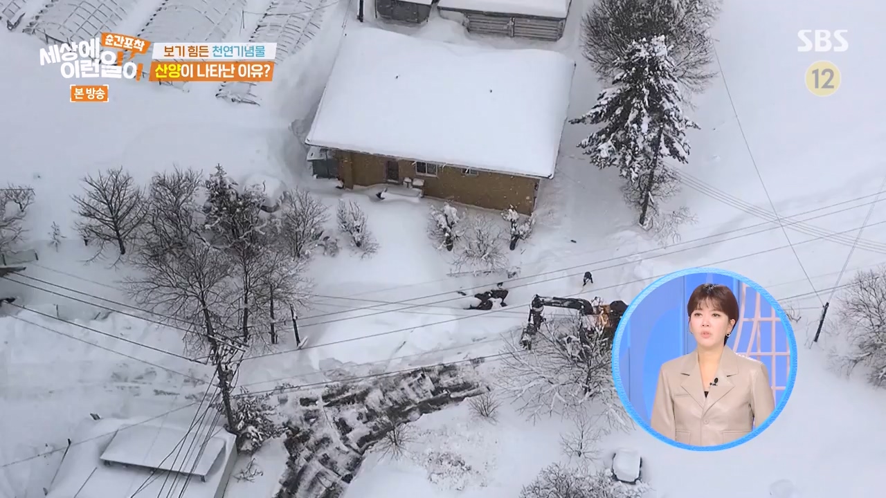 순간포착 세상에 이런일이.E1268.240310p-NEXT.mp4_20240310_132538.441.jpg