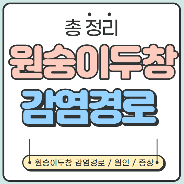  [총 정리] 원숭이두창 감염경로, 원인, 증상