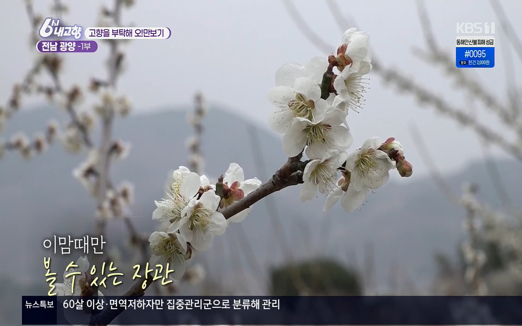 6시 내고향.E7494.220322p.H264-F1RST.mp4_20220326_174741.921.jpg