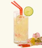  모스코 뮬(Moscow Mule)