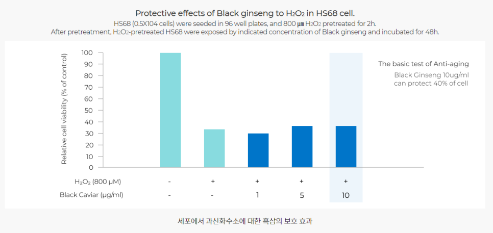 ginseng [BLACK GINSENG] 자존심을 7