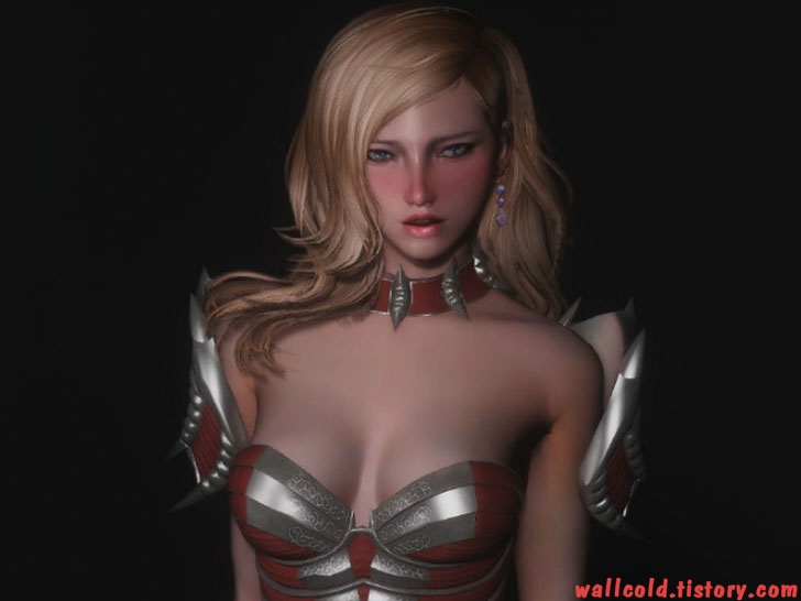 스카이림 의상 - 갑옷 의상 new armor for characters skyrim mod 001
