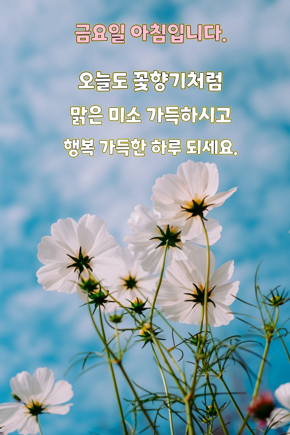 금요일 아침인사