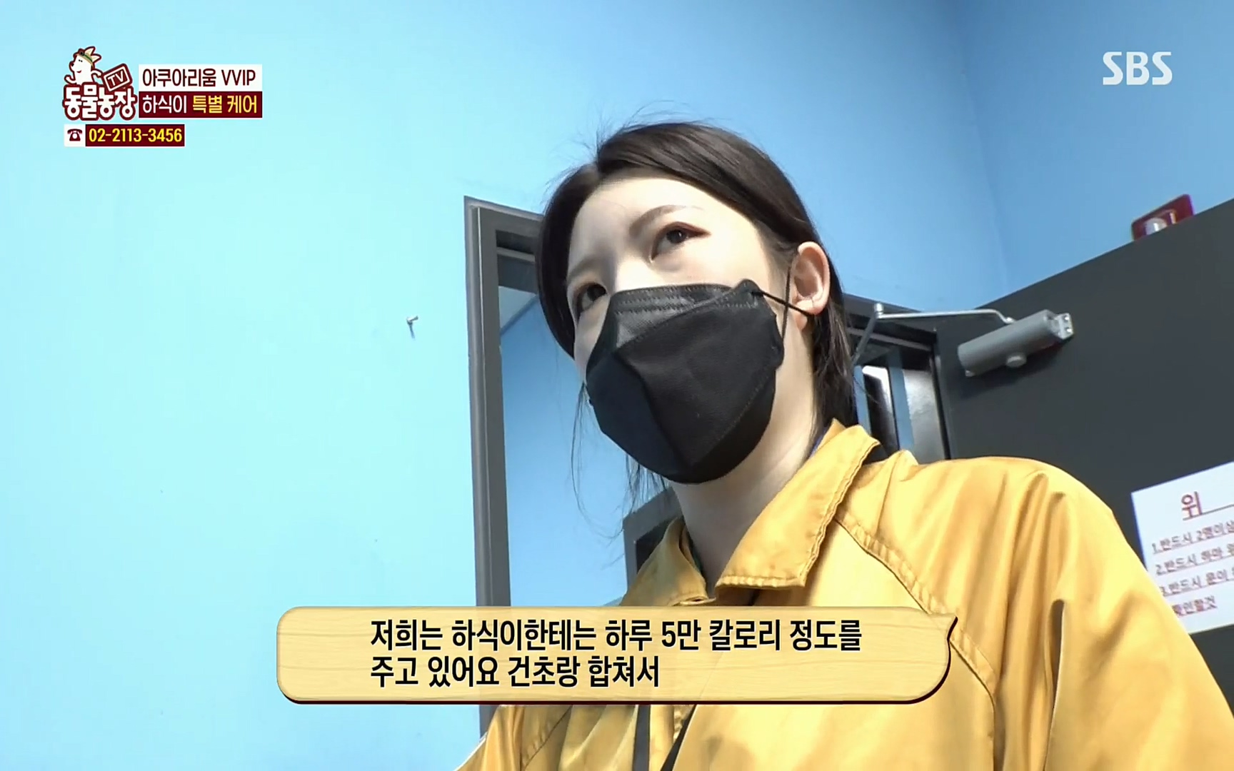 TV 동물농장.E1067.220501p.H264-F1RST.mp4_20220501_181414.864.jpg