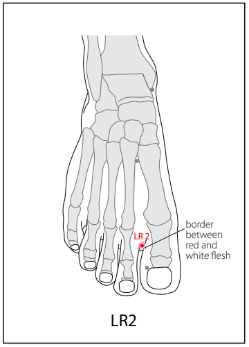 족궐음간경(LR) > LR2 행간 (行間) 1