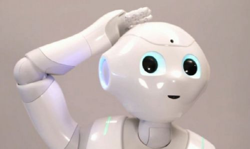 휴머노이드-페퍼-로봇