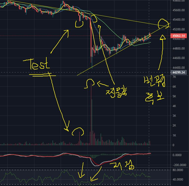 차트 분석 44K 비트코인