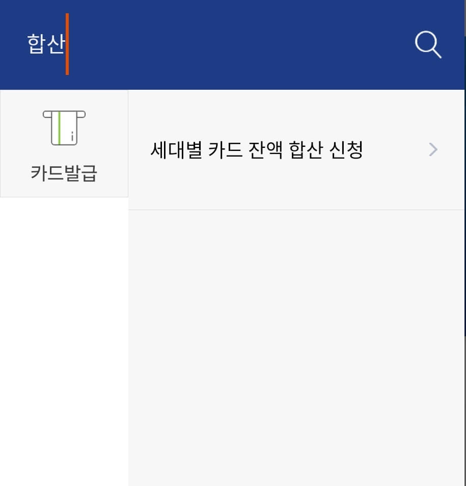 문화누리카드앱_돋보기_합산