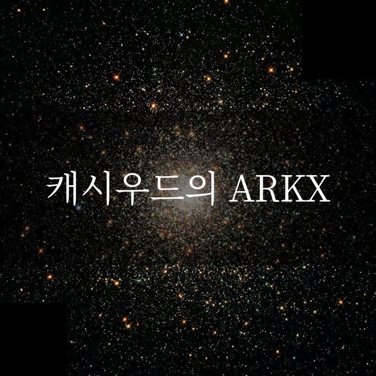 위성 캐시우드의 ARKX 4