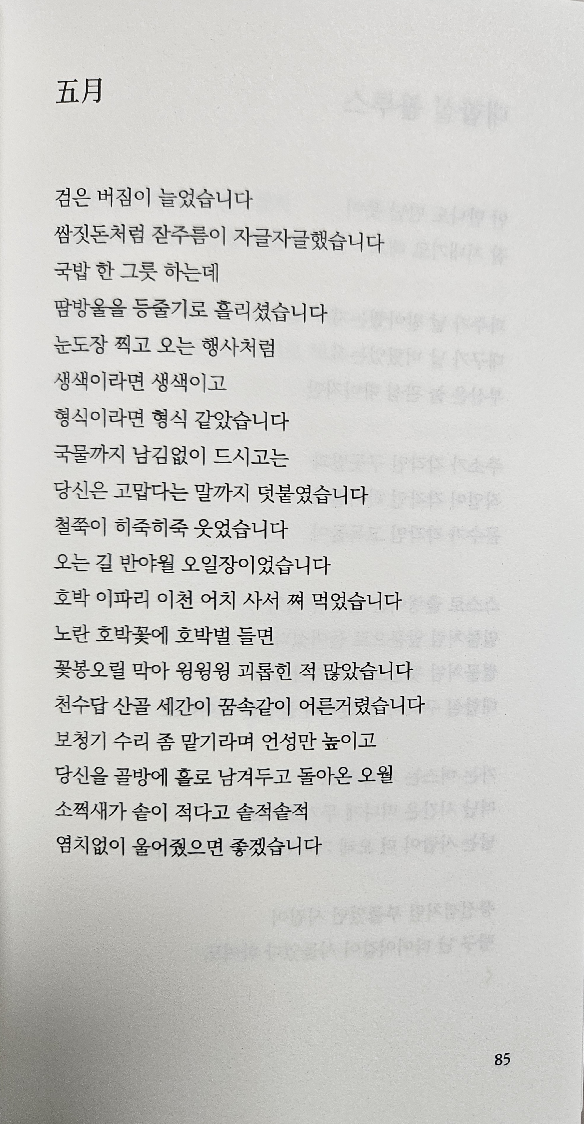 티코이 이미지