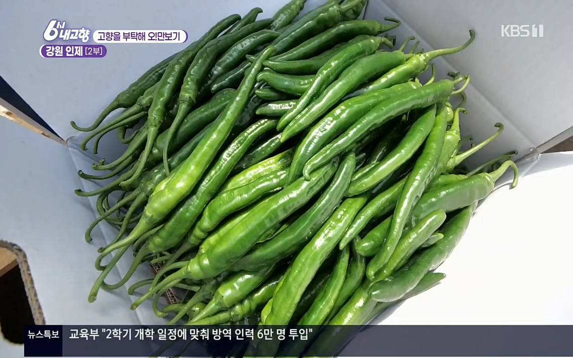 6시 내고향.E7602.220824p.H264-F1RST.mp4_20220825_171309.814.jpg