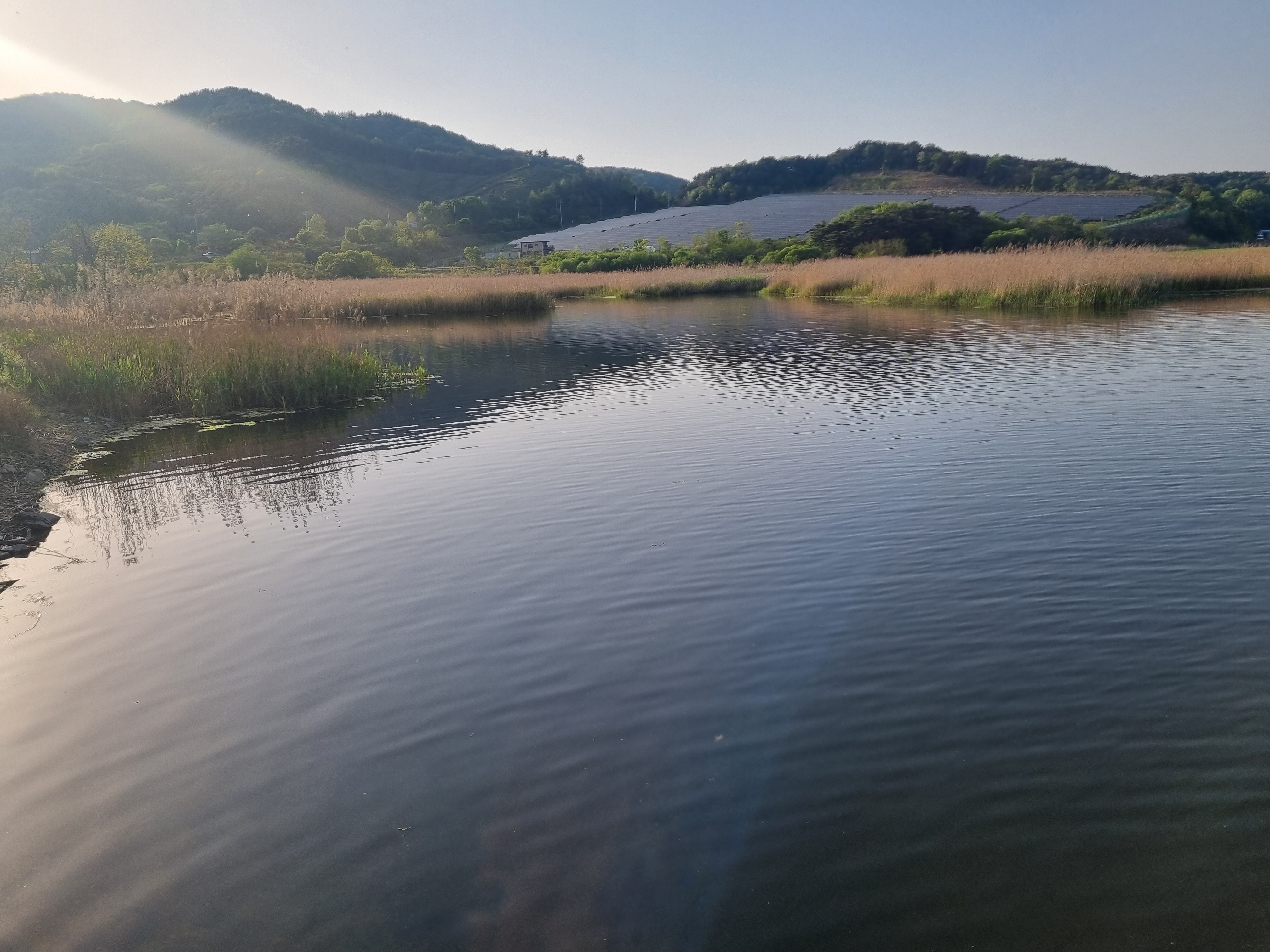 충남 보령 배스낚시 성지 보령방조제 냉장고포인트