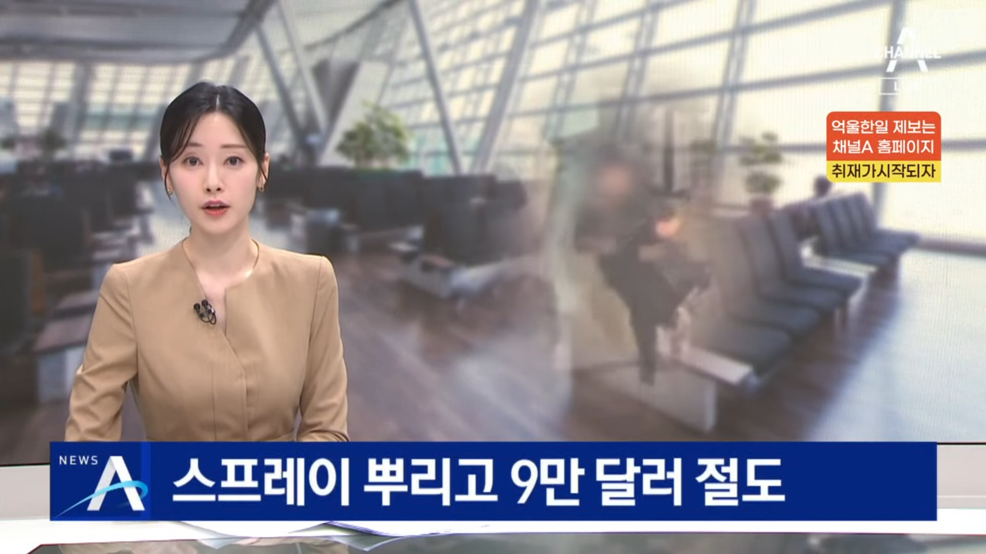  인천공항에서의 1억 든 돈가방 훔친 중국인 강도 검거, 인천공항서 중국인