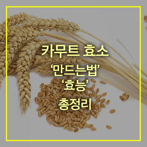 카무트 효소 만드는법