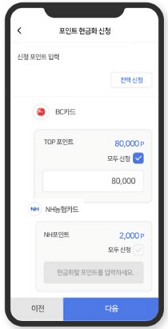 카드포인트 세부내역
