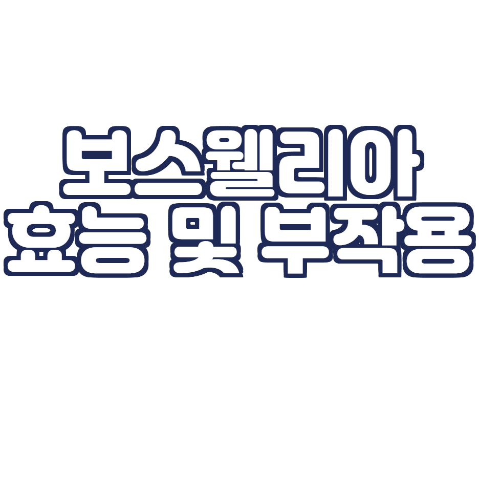  보스웰리아 효능과 부작용 정리