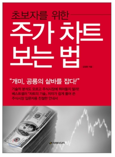  초보자를 위한 주가 차트 보는 법, 기술적 분석 기본서