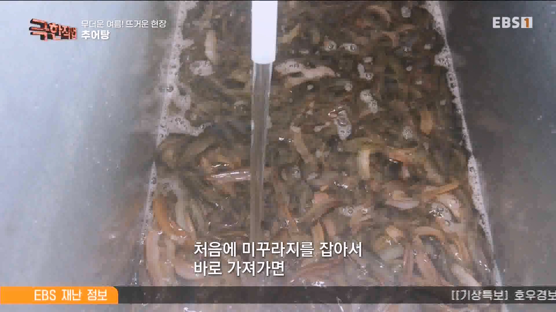 [극한 직업] 가자미잡이와 추어탕 230819.mp4_20230823_203304.066.jpg