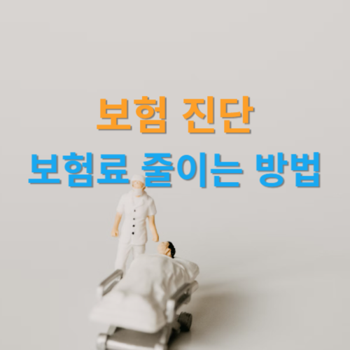 보험 진단