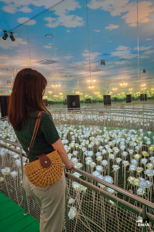 박물관은 살아있다 LED 장미꽃 포토존