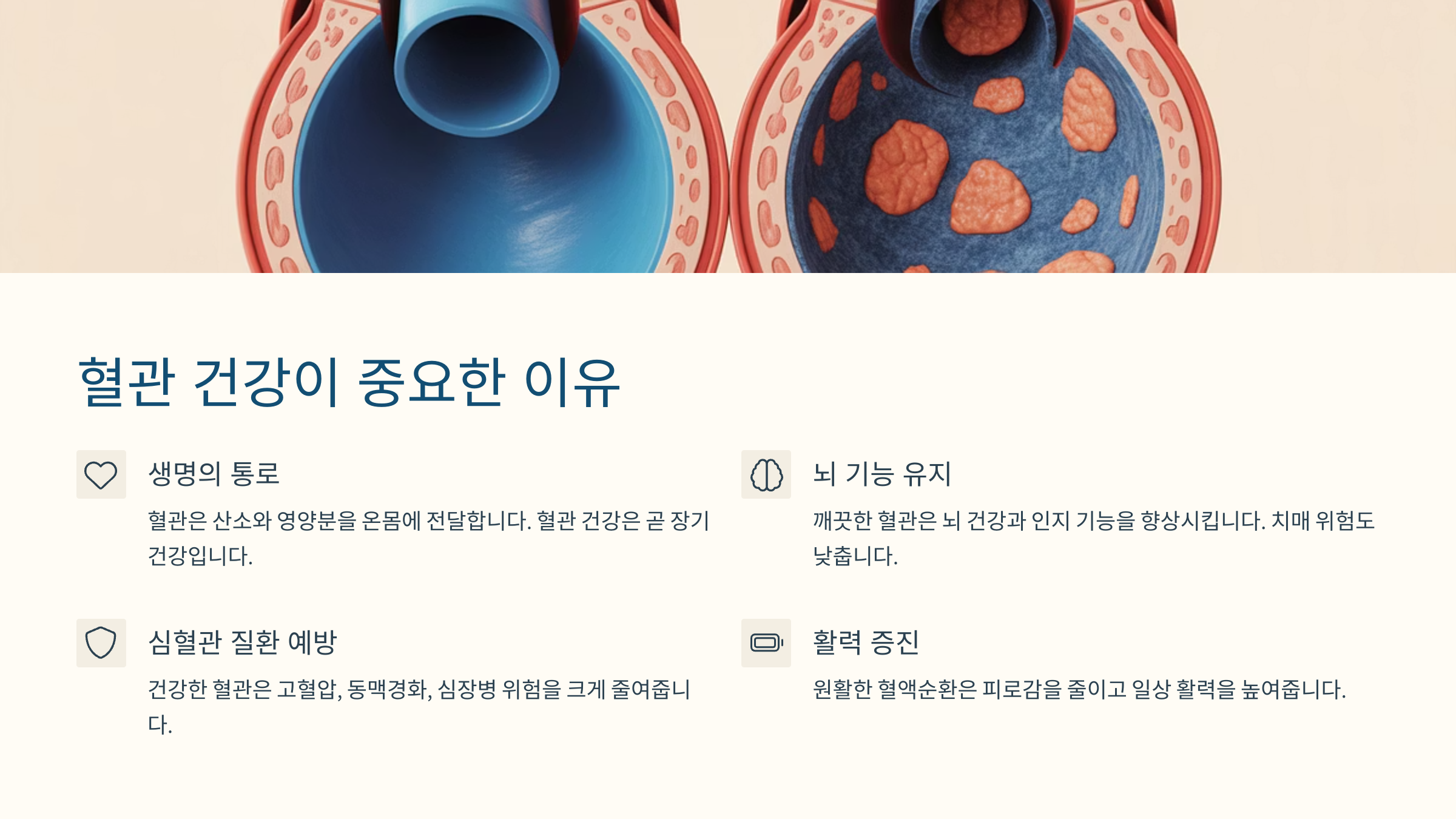 🫀 혈관 건강이 중요한 이유