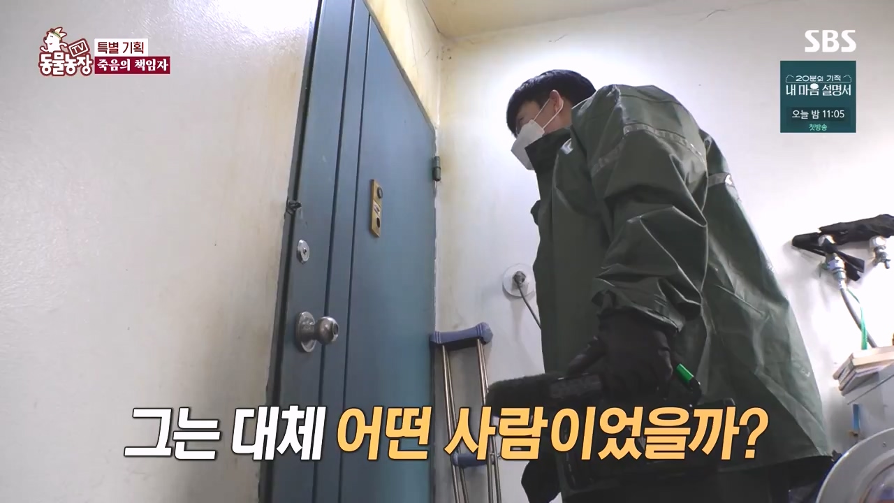 TV 동물농장.E1171.240513p-NEXT.mp4_20240512_163347.615.jpg