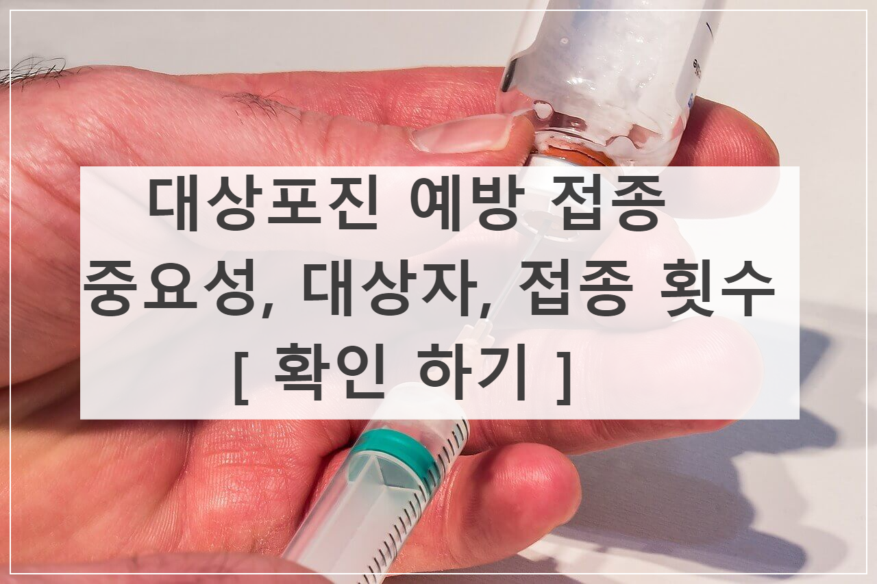 대상포진 예방 접종 중요성&#44; 대상자&#44; 접종 횟수 [ 확인 하기 ]