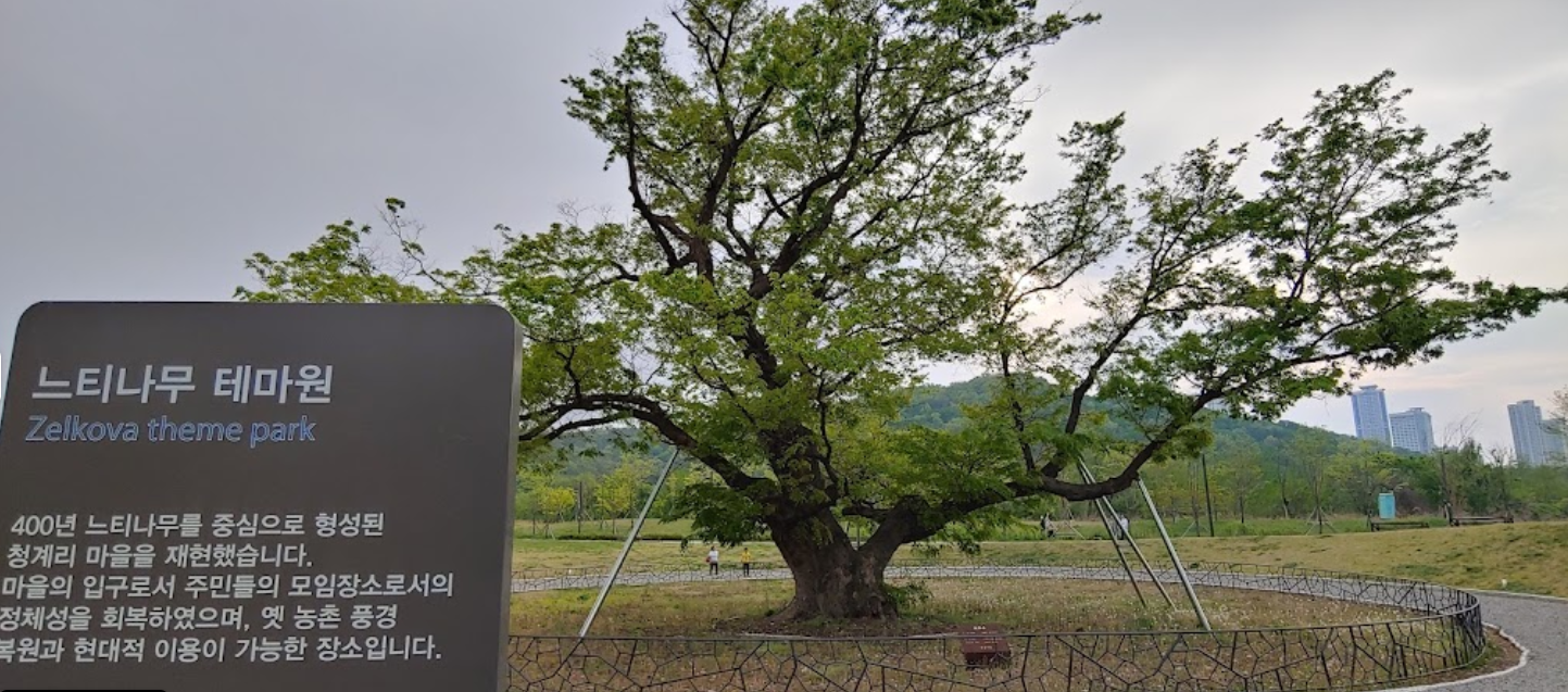 동탄 여울 공원 느티나무 테마원