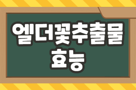 엘더꽃추출물 효능