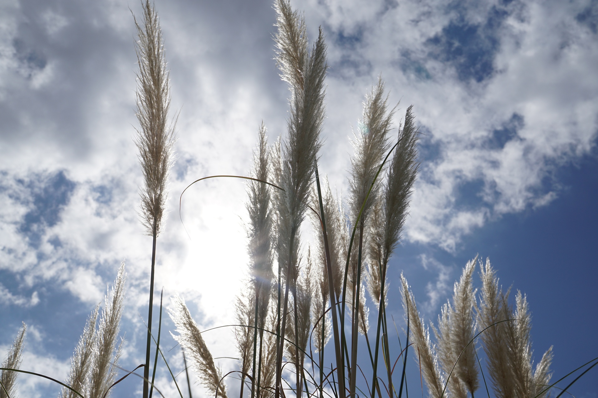 송현공원 이미지