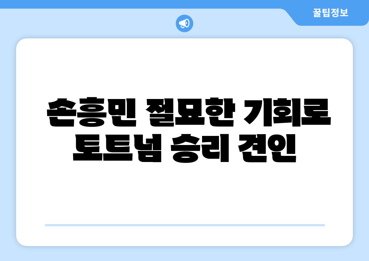  손흥민 절묘한 기회로 토트넘 승리 견인