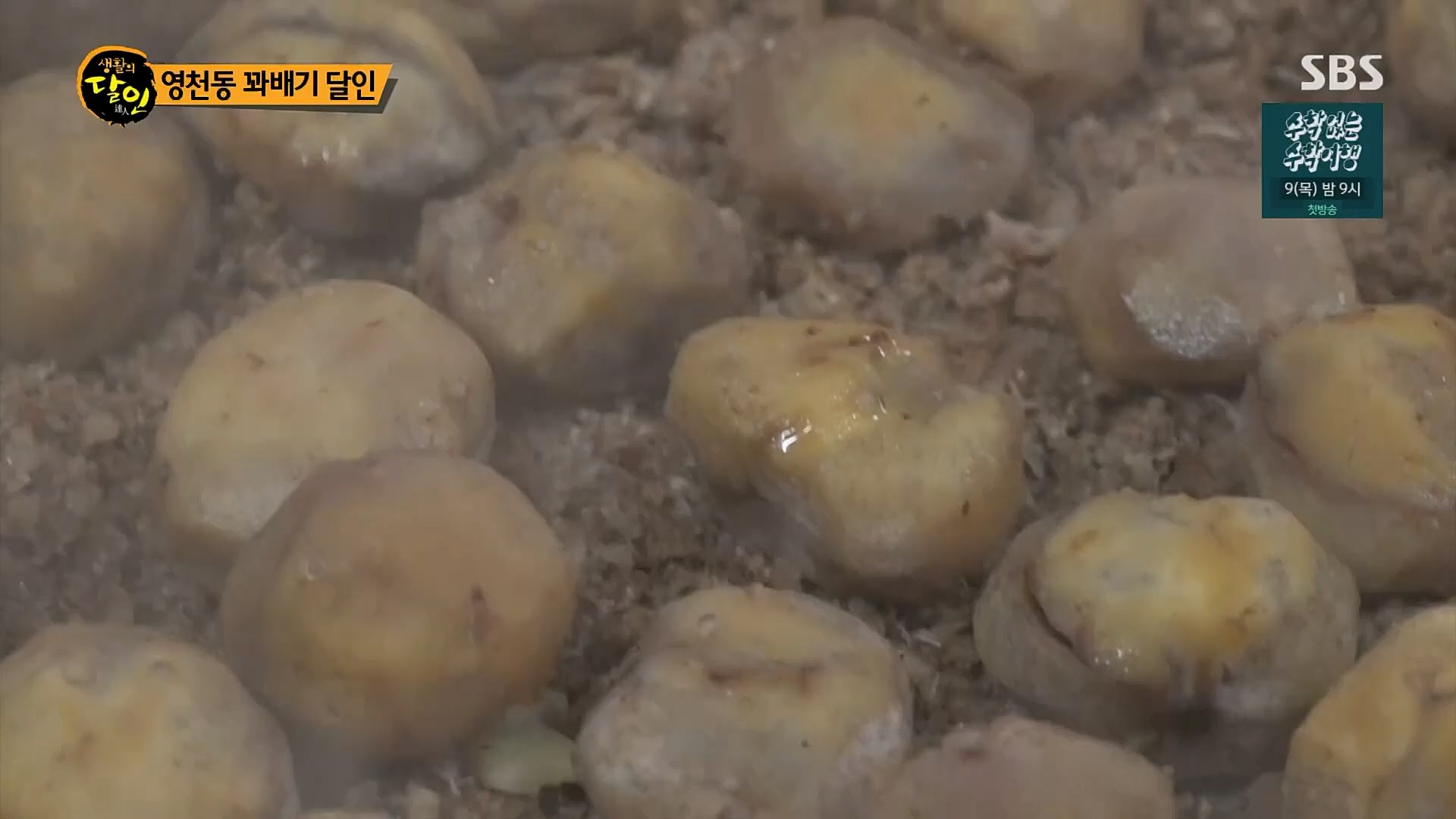 생활의 달인.E878.230227p.H264-F1RST.mp4_20230301_004514.975.jpg