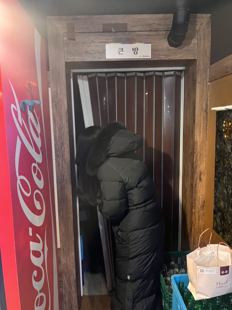 황금오리 이미지