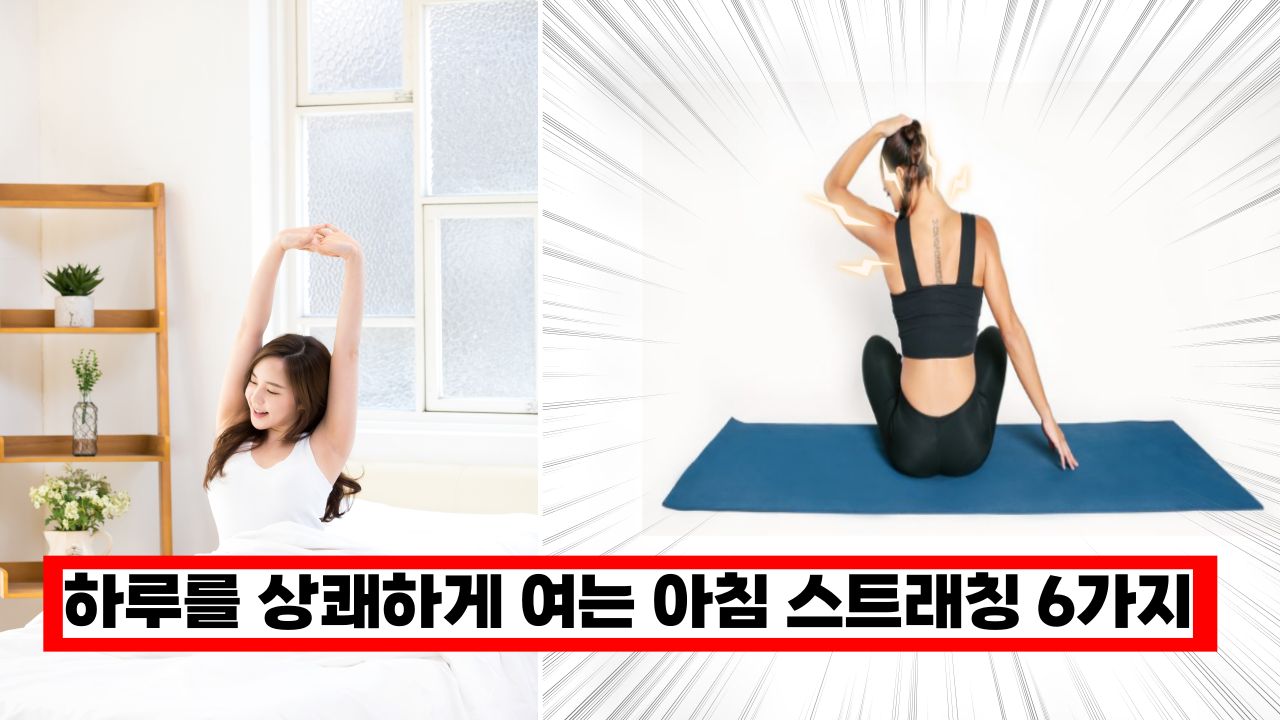  '이건 꼭 해보세요' 하루를 상쾌하게 시작할수 있게 하는 아침 스트래칭
