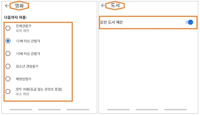 영화&#44; 음란 도서 제한