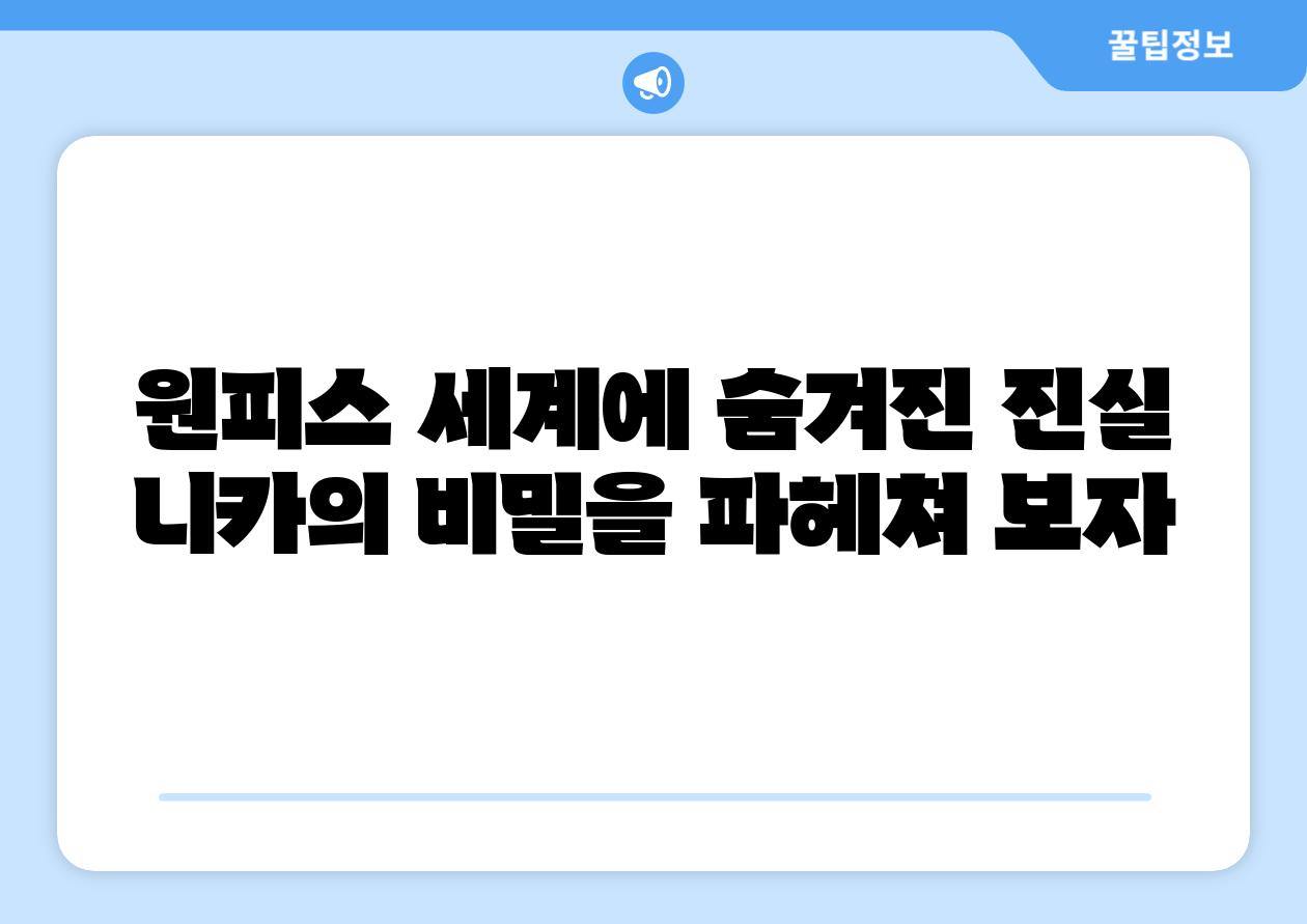 원피스 세계에 숨겨진 진실 니카의 비밀을 파헤쳐 보자