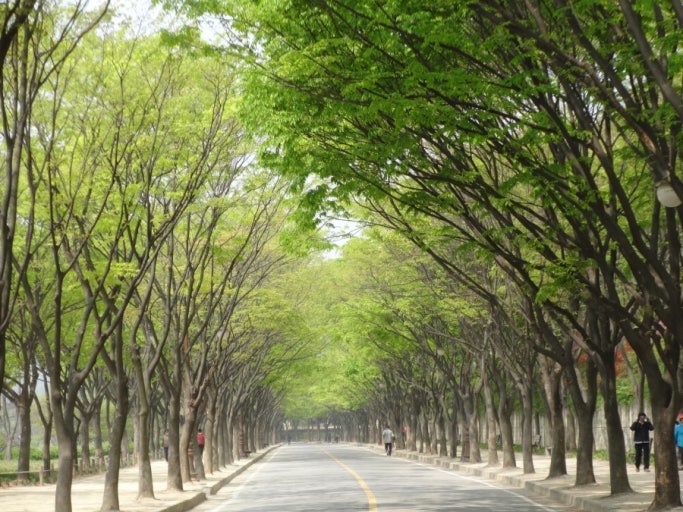 힐링가득 이미지