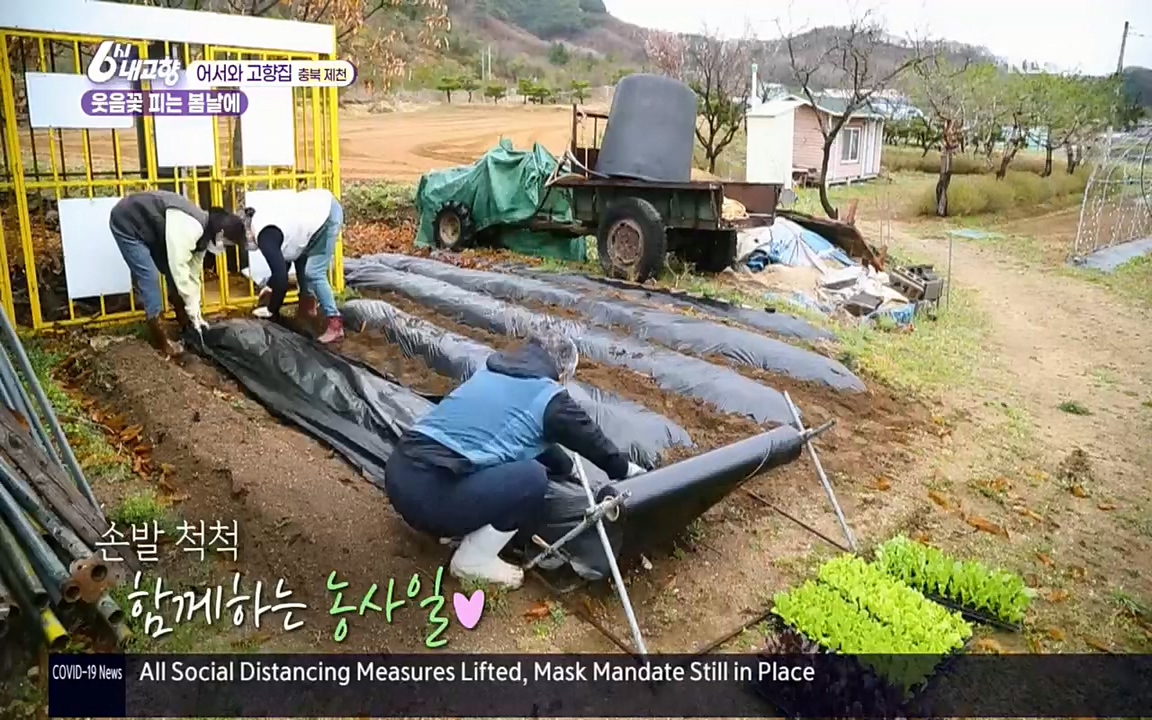 6시 내고향.E7518.220426p.H264-F1RST.mp4_20220504_191056.901.jpg