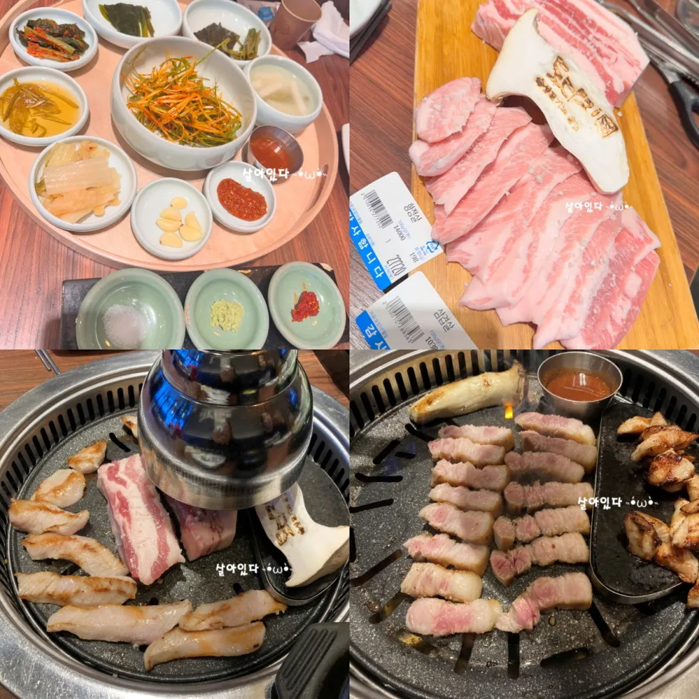 도다지 이미지