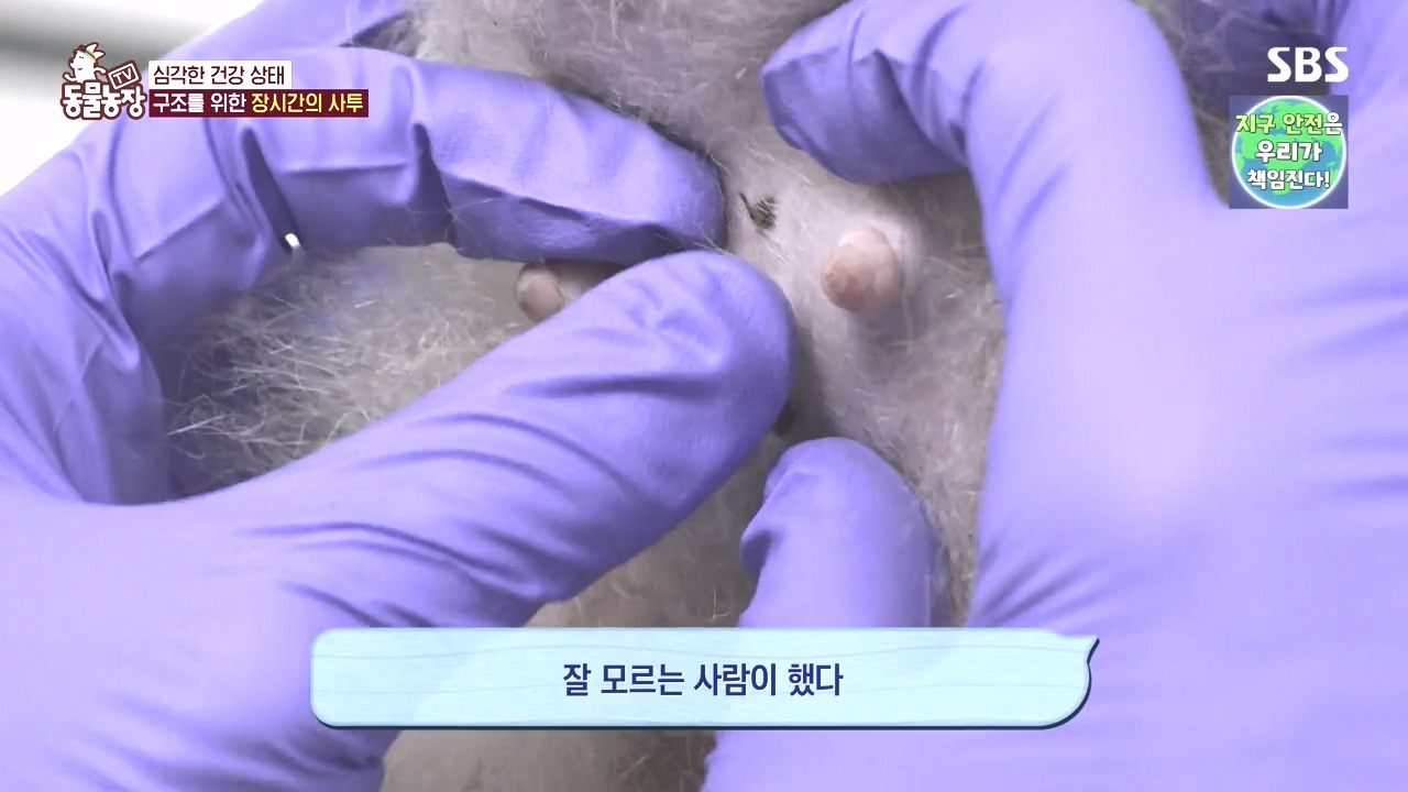 TV 동물농장.E1142.231023p-NEXT.mp4_20231022_172839.776.jpg