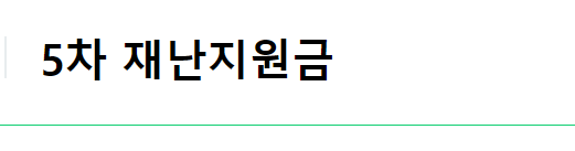 5차재난지원금